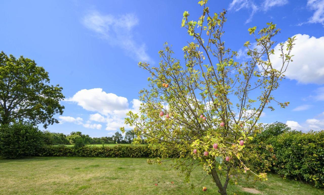 Appledown - Secluded Rural Retreat In Kingsdown, 10 Mins To Beach Kingsdown  エクステリア 写真